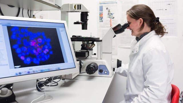 Kvindelig kræftforsker kigger i mikroskop. Hun smiler. Daiichi Sankyo Nordics støtter forskning i brystkræft. Illustrationsfoto