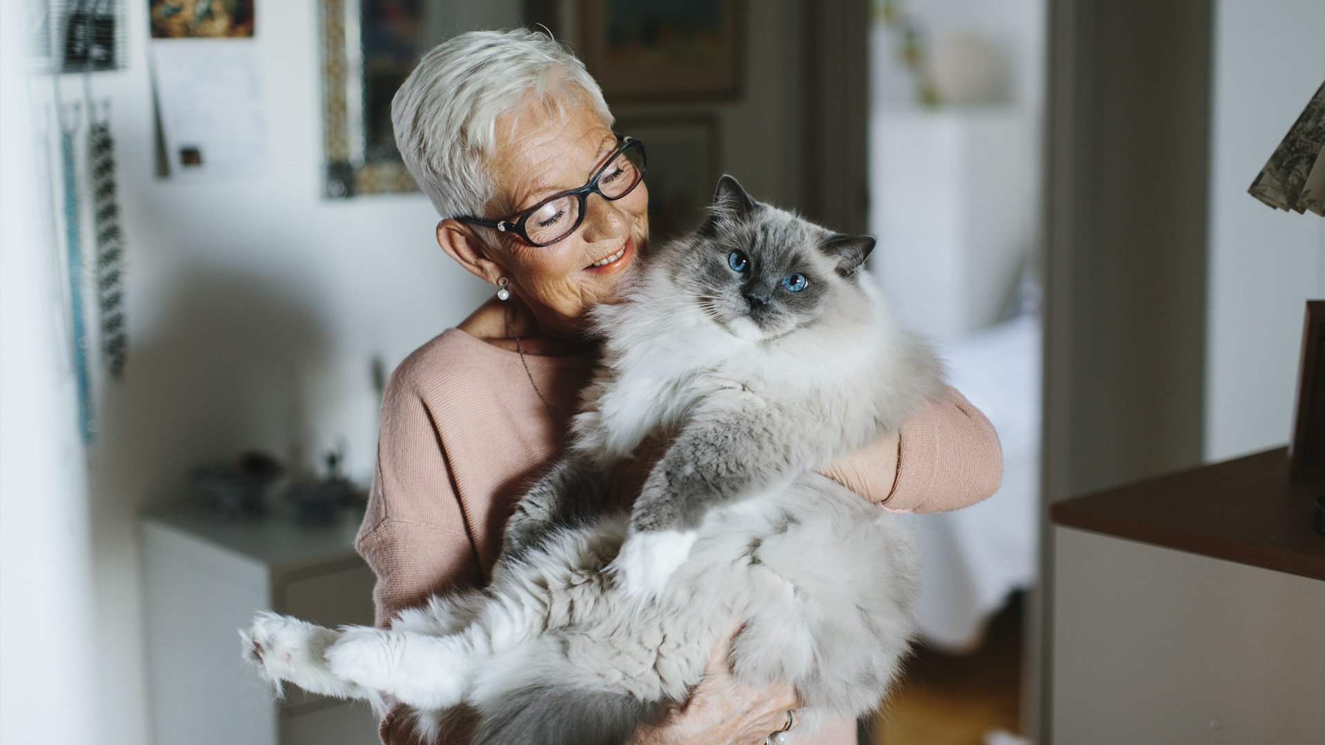 Ældre dame med brystkræft med spredning, der holder en kat. Illustrationsfoto