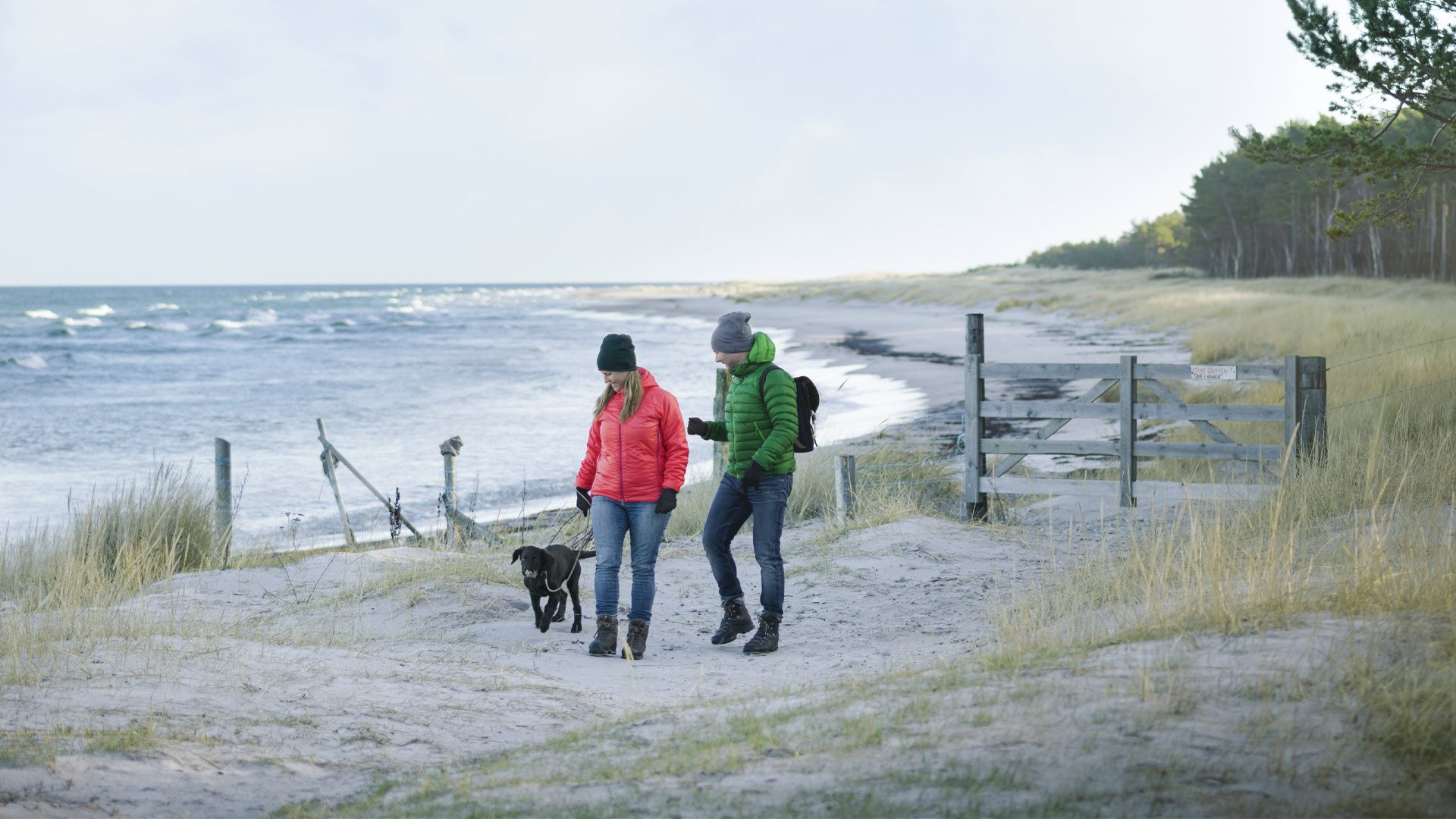 To personer, hvis hverdag er blevet påvirket af MBC, lufter hunden på stranden om efteråret. Illustrationsfoto